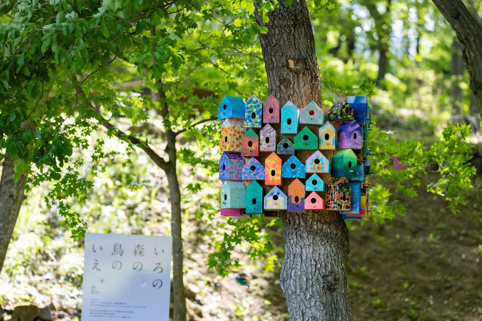 作品《いろの森の鳥のいえ》カラフルな鳥の家